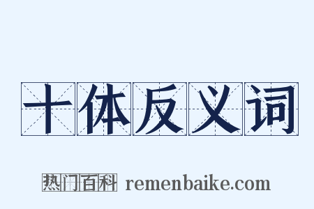 十体反义词是什么意思的图片